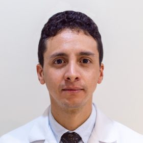 Alvear Castro David Felipe